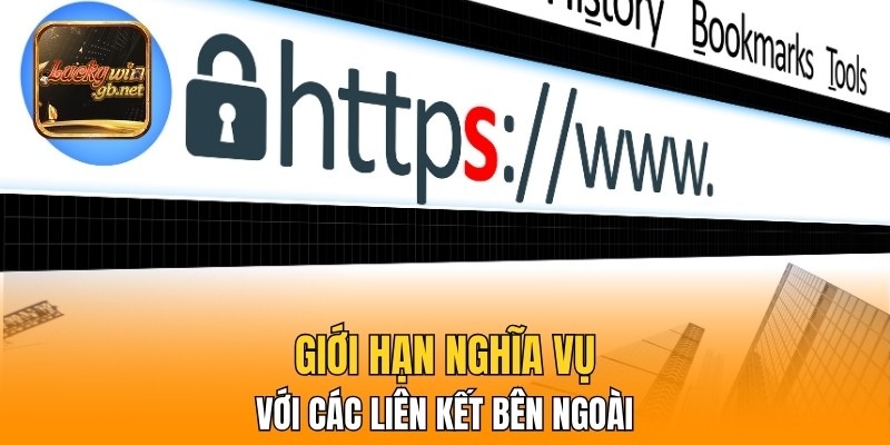 Giới hạn nghĩa vụ với các liên kết bên ngoài
