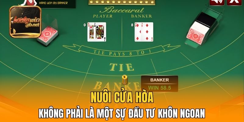 Nuôi cửa Hòa không phải là một sự đầu tư khôn ngoan