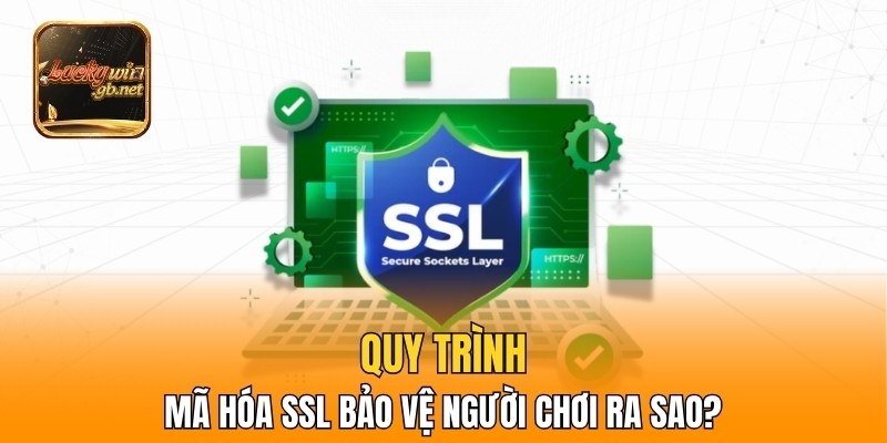Quy trình mã hóa SSL bảo vệ người chơi ra sao?