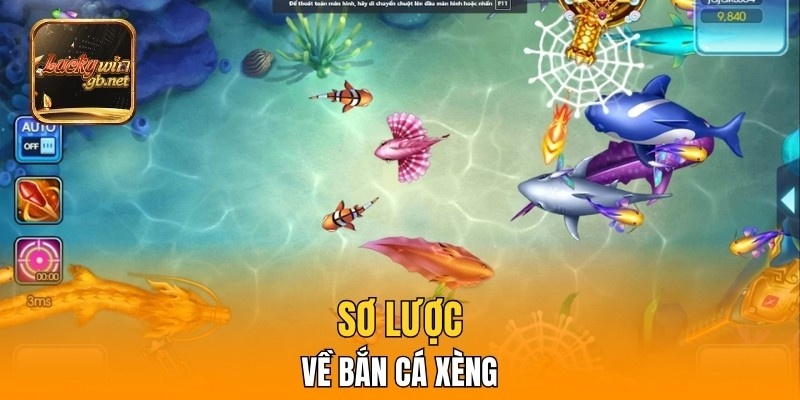 Sơ lược về Bắn cá xèng