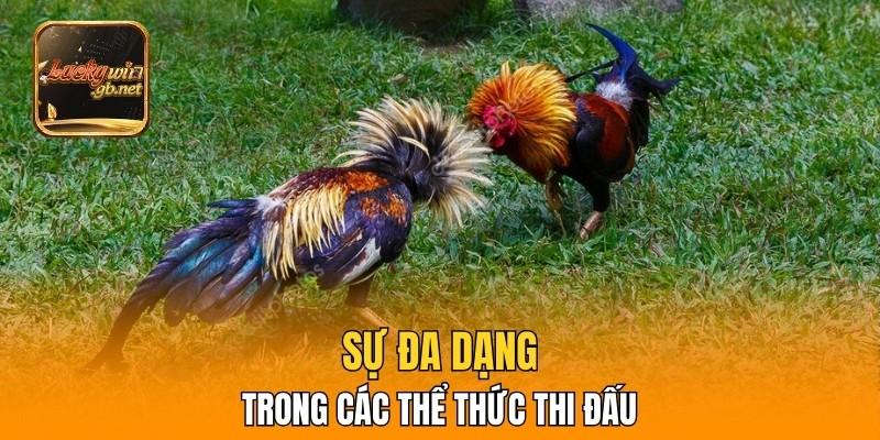 Sự đa dạng trong các thể thức thi đấu mang lại cảm giác mới mẻ